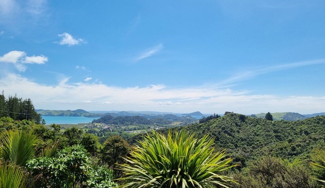 Coromandel Pole House - Elevated Views/Secluded/Internet/Apple TV/Bush Surrounds