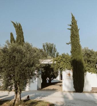 Cortijo de Enmedio