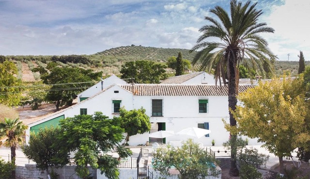 Cortijo Don Simon, ideal for families and friends (pet friendly)