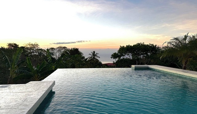Costa Rica dream: ocean view, infinity pool, surrounded by nature