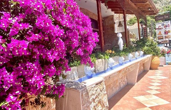 Costas Inn