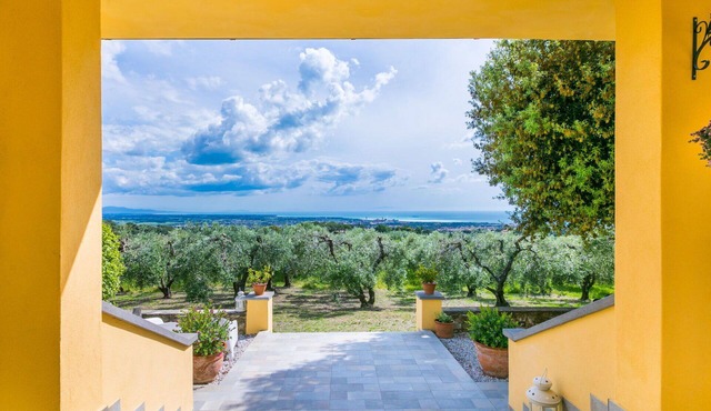 Cosy apartment for 4 guests with WIFI, TV, terrace, pets allowed and panoramic view