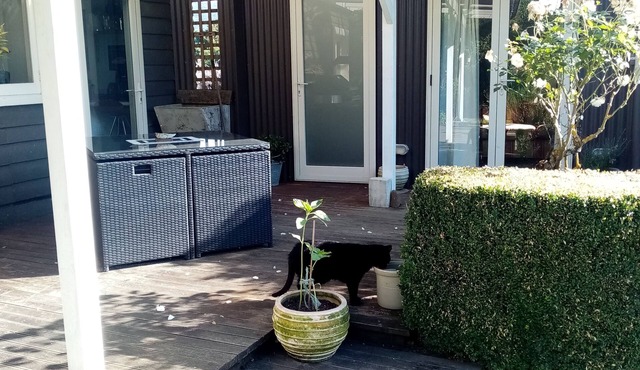 Cosy, Comfortable, Rustic Cabin In The Absolute Heart Of The Catlins