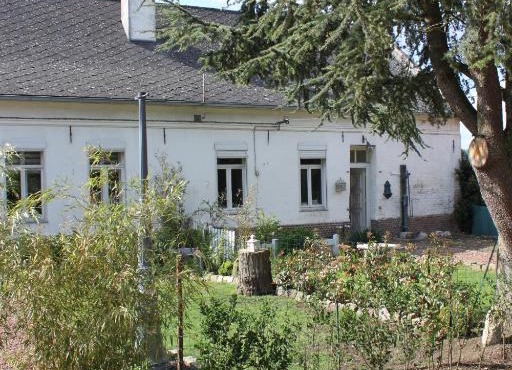Cosy Cottage