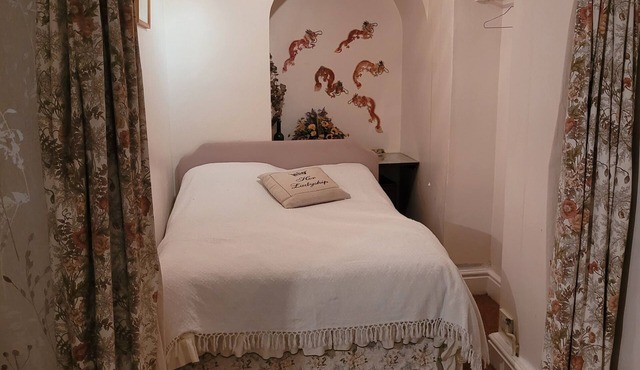 Cosy family flat with access to garden in centre of Ludlow.
