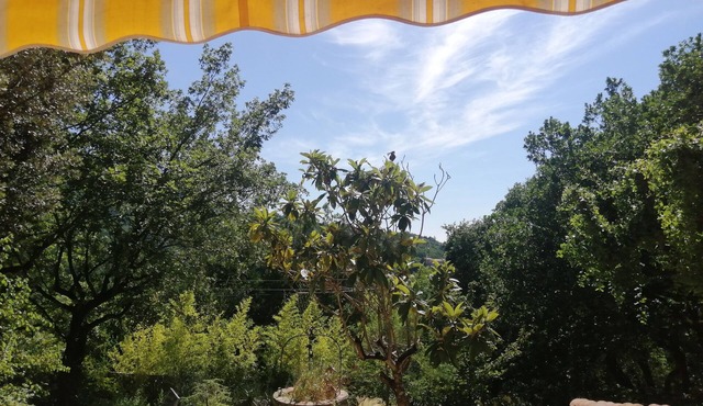 Cosy house, nestled in nature, 5 minutes from the center