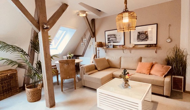 Cosy maisonette flat in authentic Heidelberg
