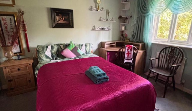 Cosy room in London Wembley