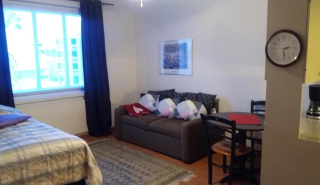 Cosy studio apartment