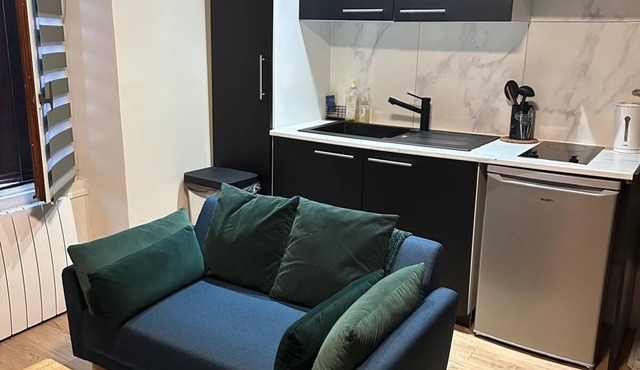 Cosy studio, fully renovated