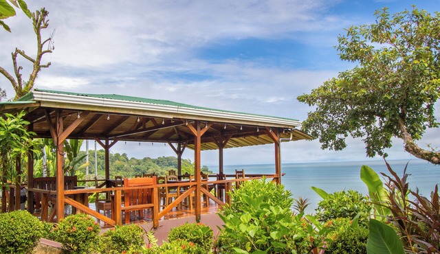 Cotingas Ocean View