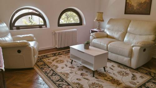 Cotroceni Villa Ocho
