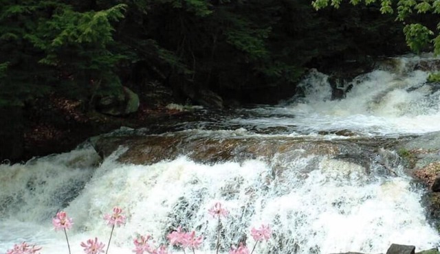 Cottage beside a waterfall