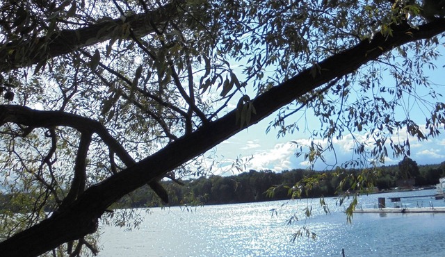 Cottage for groups - nature, wildlife, leisure, beach, boats