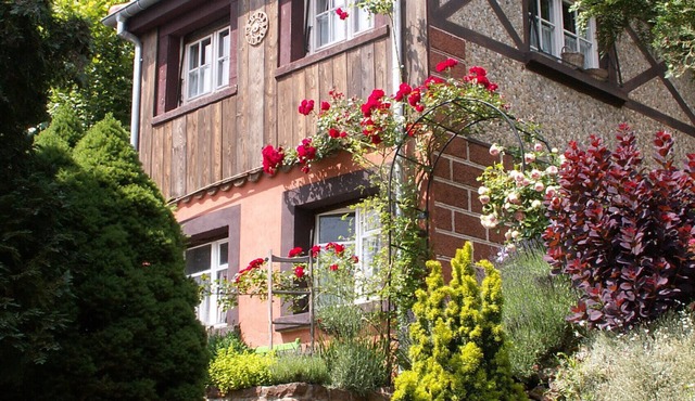 Cottage
