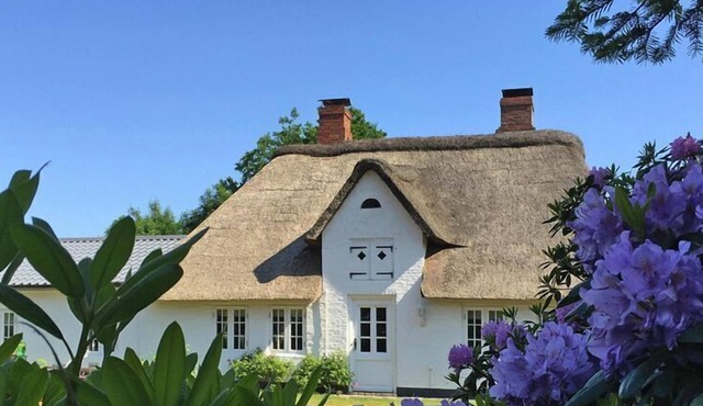 Cottage, Humptrup