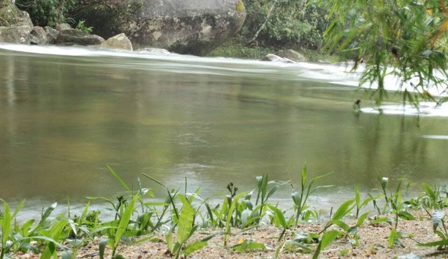 cottage in the countryside, good walks, in Toca da Onça, Lumiar
