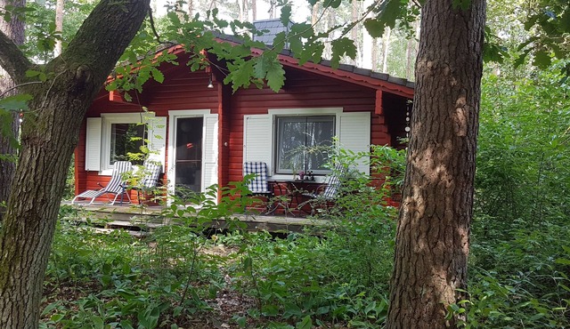 Cottage in the woods near Hitzacker/Elbe - walking and cycling from your doorstep