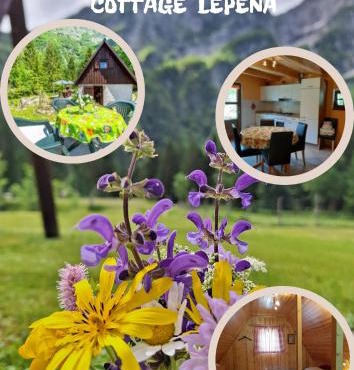Cottage Lepena