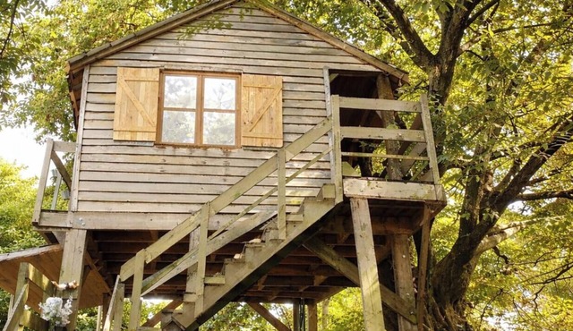 Cottage perched in the heart of nature with large terrace