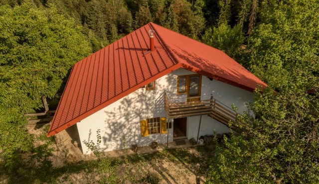 Cottage surrounded by forests - The Sunny Hill