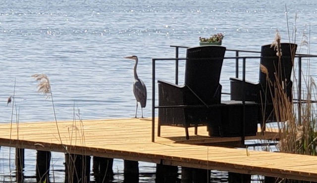 Cottage with terrace directly on the Krüpelsee