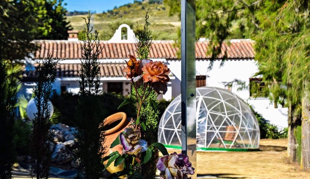 Cottages The Algarrobales- El Rancho