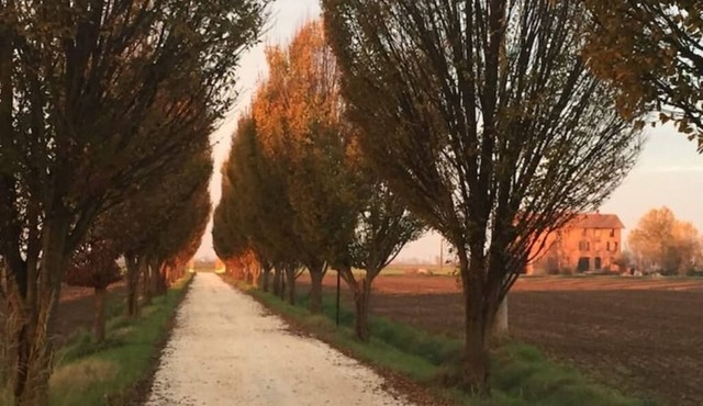 Country house Il Giuggiolo, relaxation in the Motor Valley