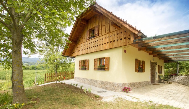 Country House Srček with Two Bedrooms and Vineyard View