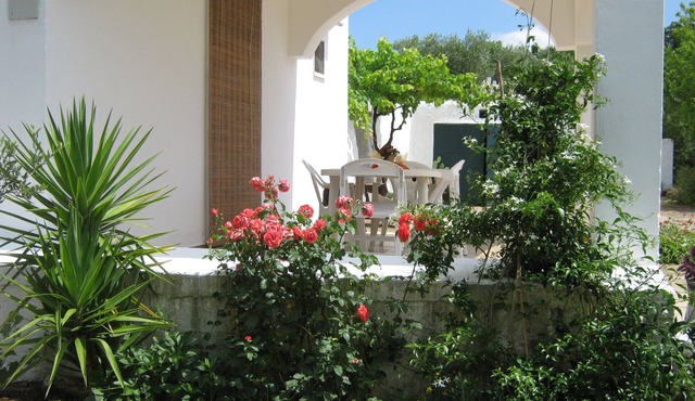 Country house surrounded by olive trees, a few km from Ostuni and the sea