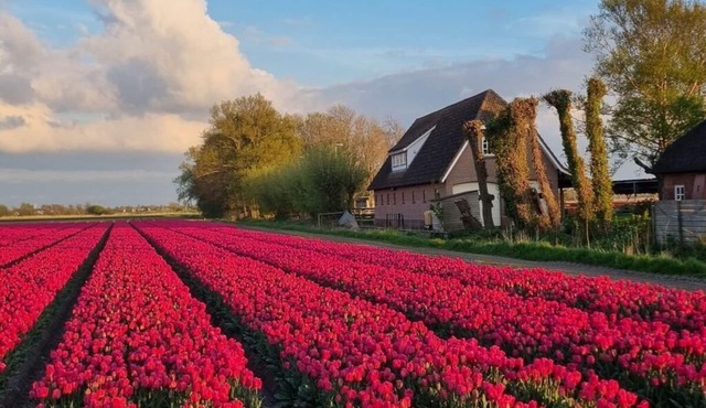 Country life Comfortable holiday residence