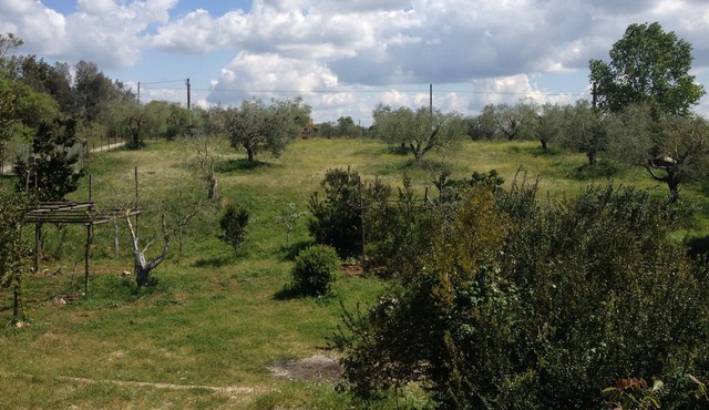 Country villa in Formello
