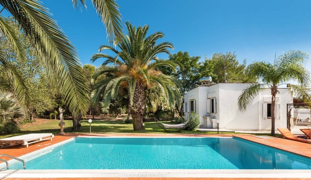 Countryside villa with swimming pool, olive tress, fruit trees, tropical garden!