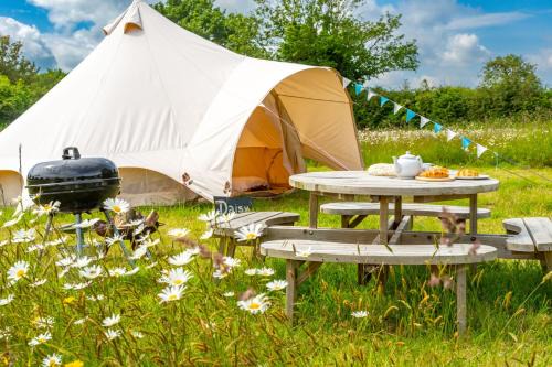 Cowslip at Blancas Bell Tents