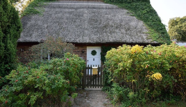 Cozy thatched cottage in Bansin (Heringsdorf) on the sunny island of Usedom