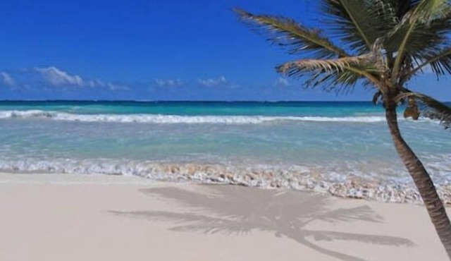Cozumel Beach Front Condo on San Francisco Beach @ Residencias Reef