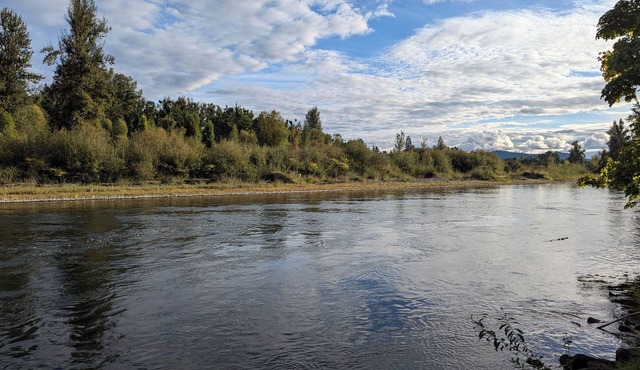 Cozy 1-bedroom cabin, 900 sq ft on the McKenzie River in Springfield, Oregon
