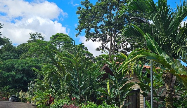 Cozy 1-bedroom cabin In san Isidro Peñas blancas 25 minutos from la fortuna