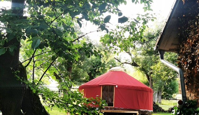Cozy 28 m² yurt with stargazing view, barbecue area, and separate bathroom