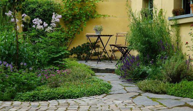 Cozy 30 sqm studio in a historic town house in the city center