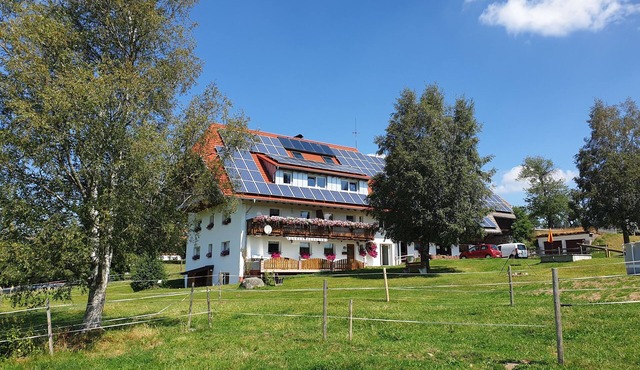 Cozy 55 m² vacation apartment in a quiet location, only 3 km to Schluchsee.
