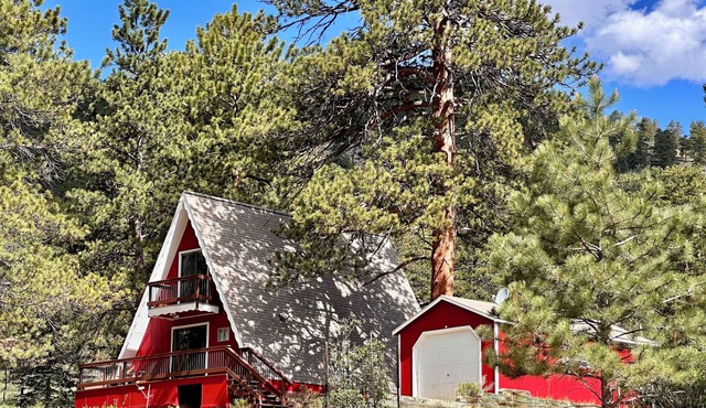 Cozy A-Frame! 2 Bedroom 1 Bath Close to YMCA and RMNP- Dogs OK!
