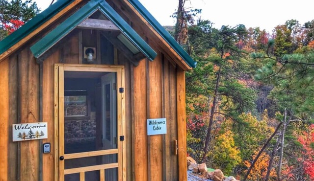 Cozy, absolutely secluded Mountain Cabin,Pet Friendly,spectacular Views,hiking