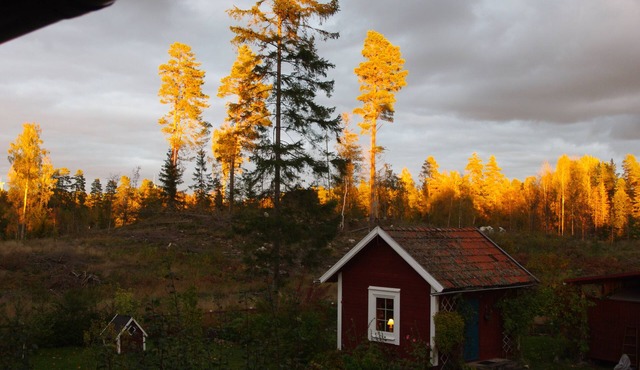 Cozy accommodation with rural charm