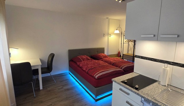 Cozy and comfortable studio in Frankfurt