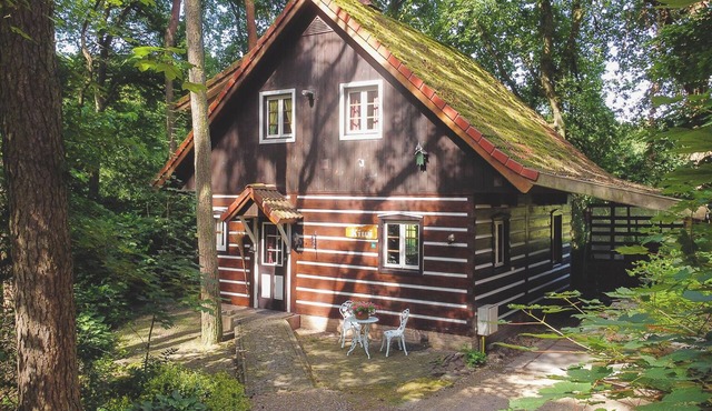 Cozy and comfortable forest house with balcony in beautiful location