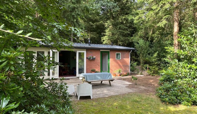 Cozy and complete forest cottage in the Veluwe!