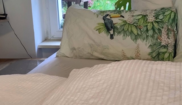 Cozy apart 1 double bed 1 single bed in Berlin 20mins fr Brandenburg gate