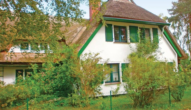 Cozy apartment in Prerow with WiFi