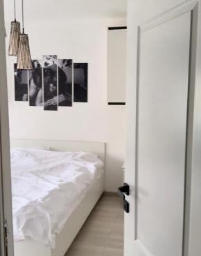 Cozy apartment